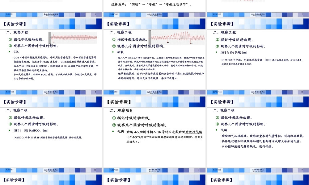 呼吸运动的影响因素与急性呼吸功能不全.pptx