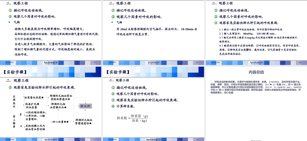 呼吸运动的影响因素与急性呼吸功能不全.pptx