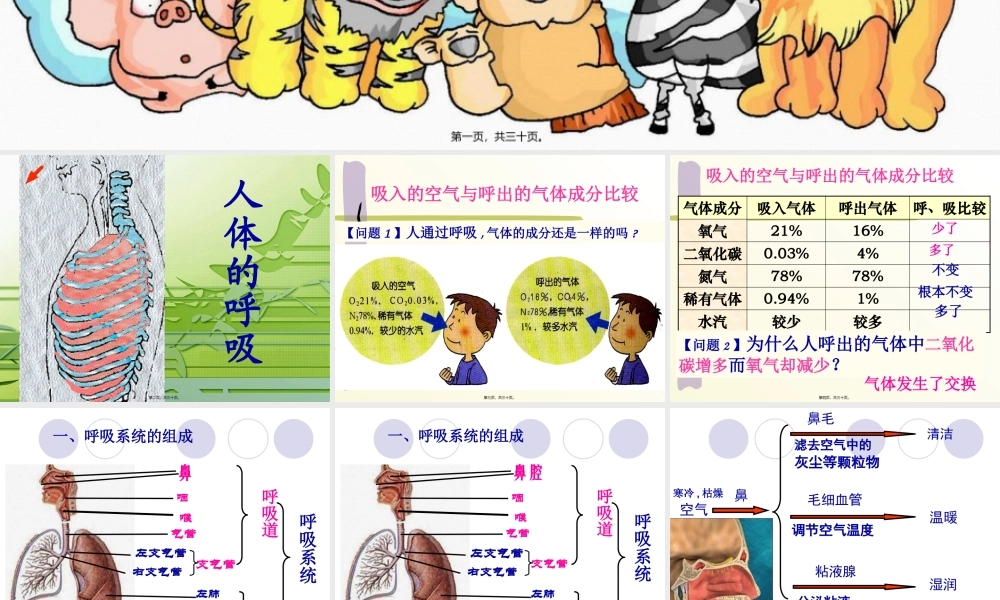 呼吸道和肺.pptx