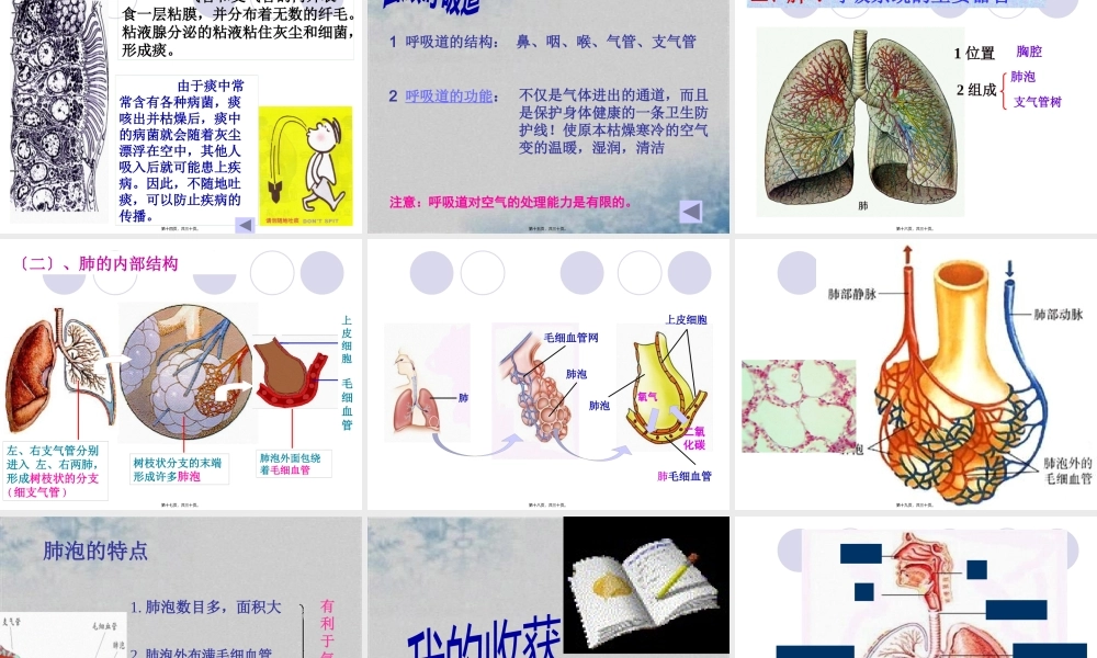呼吸道和肺.pptx