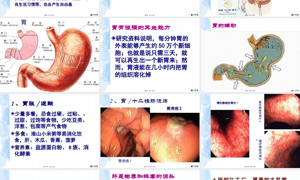 咖啡灌肠排毒法模板.pptx