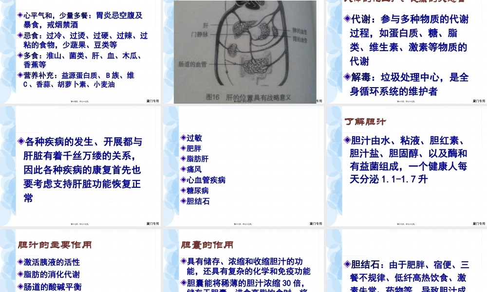 咖啡灌肠排毒法模板.pptx