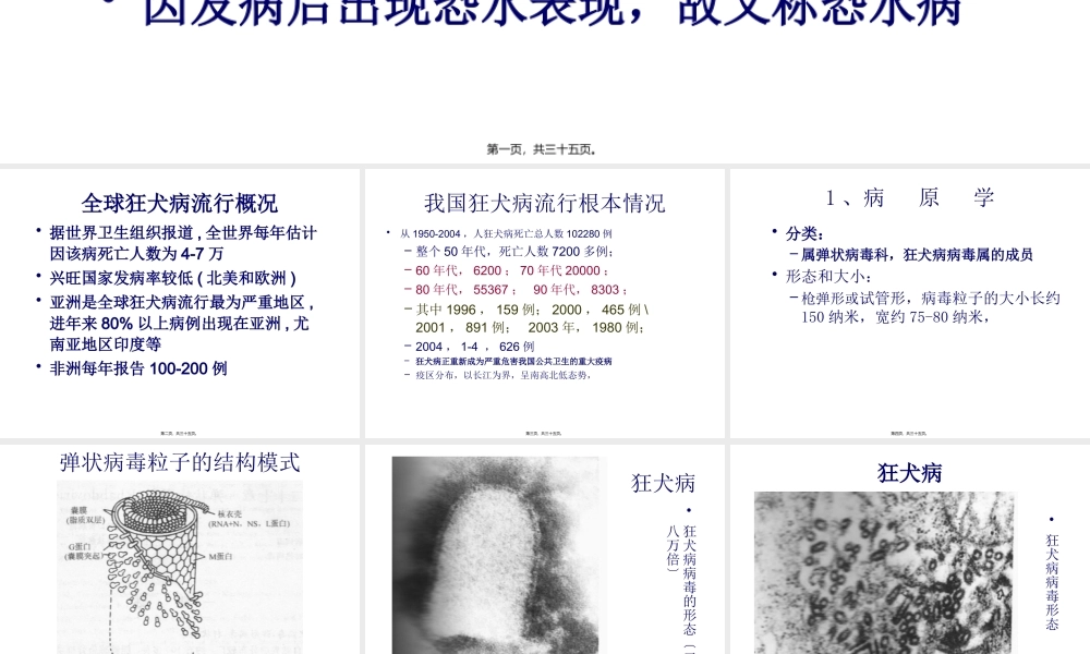 四、狂犬病.pptx