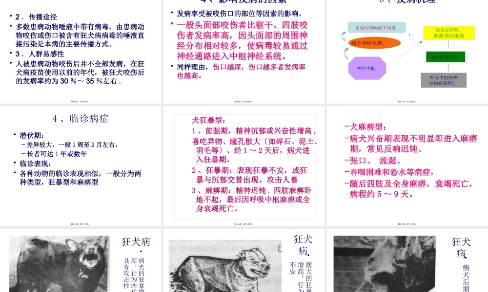 四、狂犬病.pptx