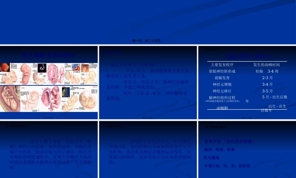 围产期因素与脑损伤ppt-..pptx