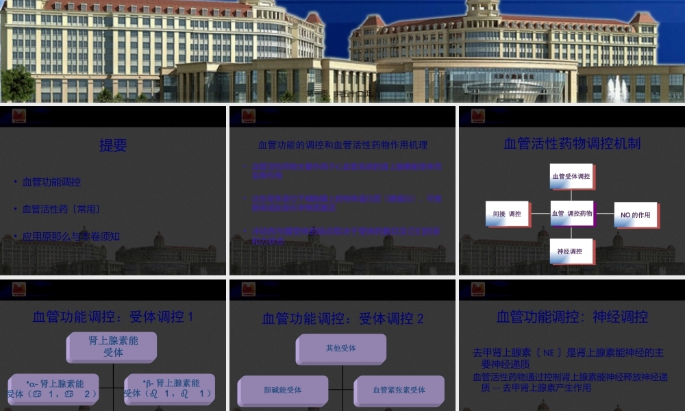 围术期合理应用血管活性药.pptx