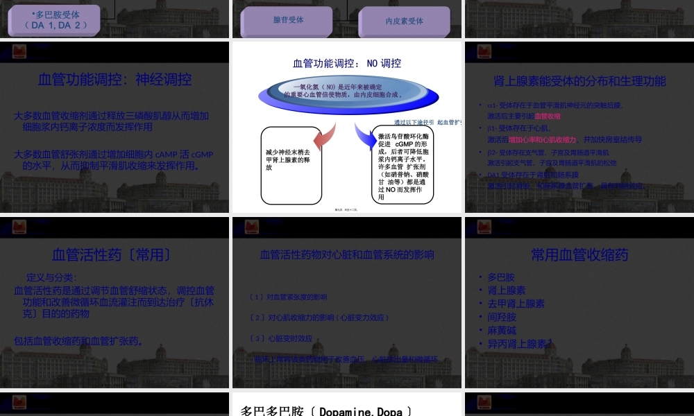 围术期合理应用血管活性药.pptx