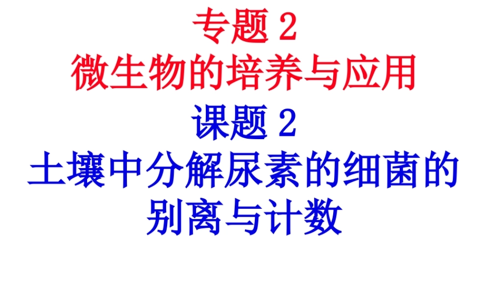 土壤中分解尿素的细菌的分离与计数(上课)...pptx