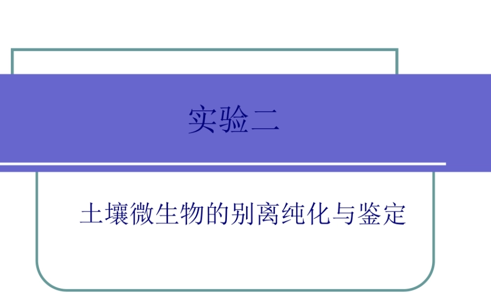 土壤细菌的分离及纯化.pptx