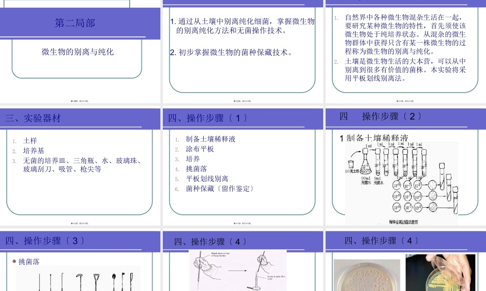 土壤细菌的分离及纯化.pptx