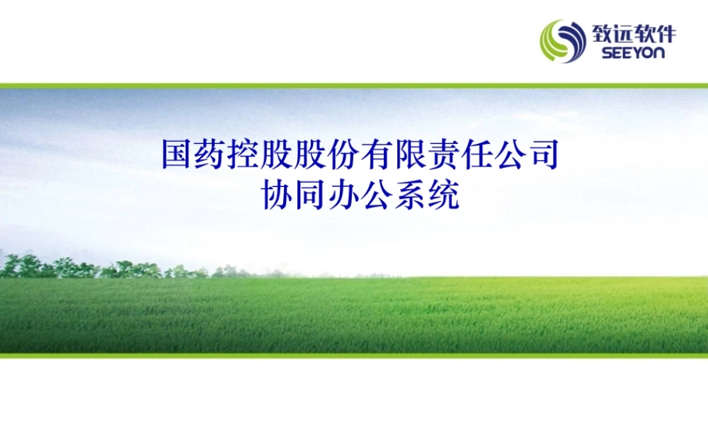 国药控股股份有限公司协同办公系统.pptx