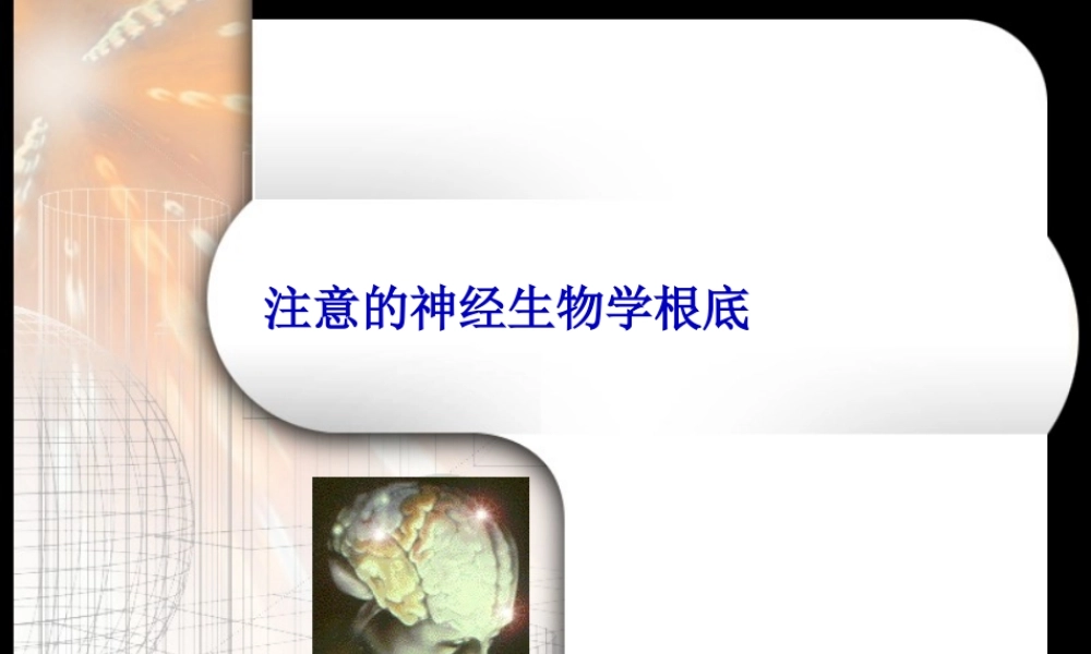 场依存-场独立与大脑功能侧化的关系的研究.pptx