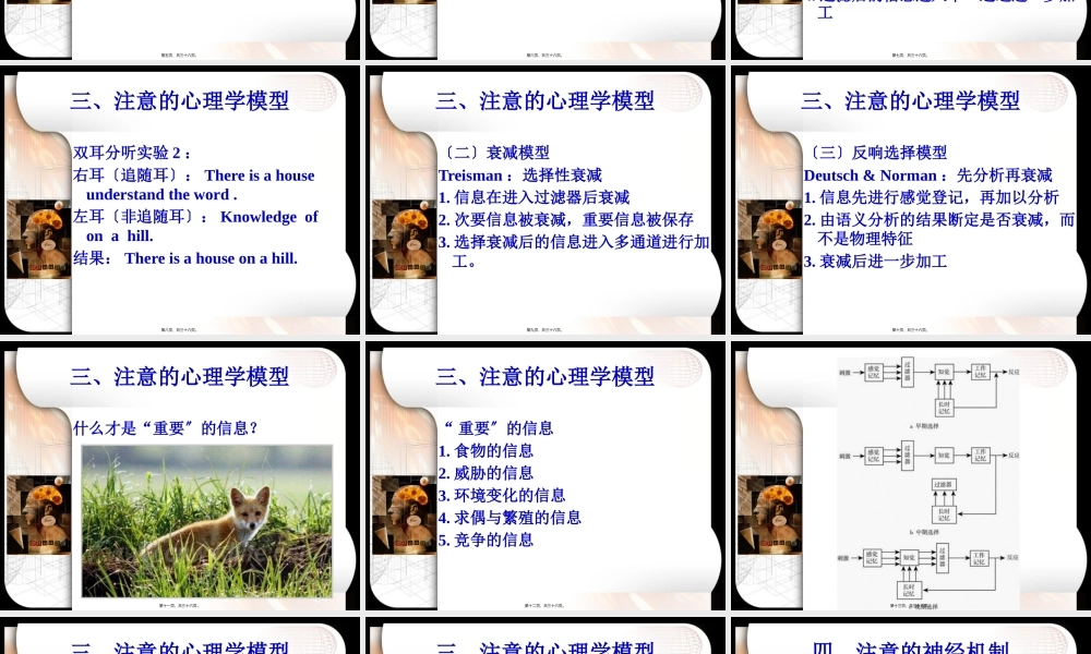 场依存-场独立与大脑功能侧化的关系的研究.pptx