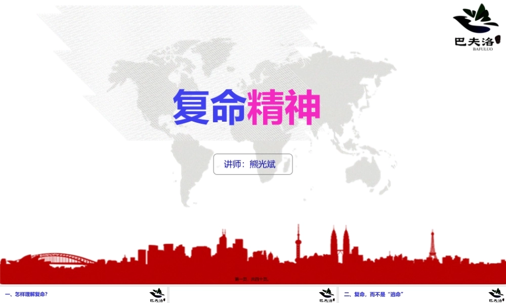 复命精神0512.ppt