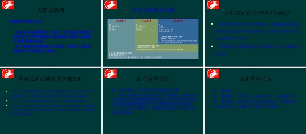 多模式镇痛与无痛医院建立(迟永良).pptx