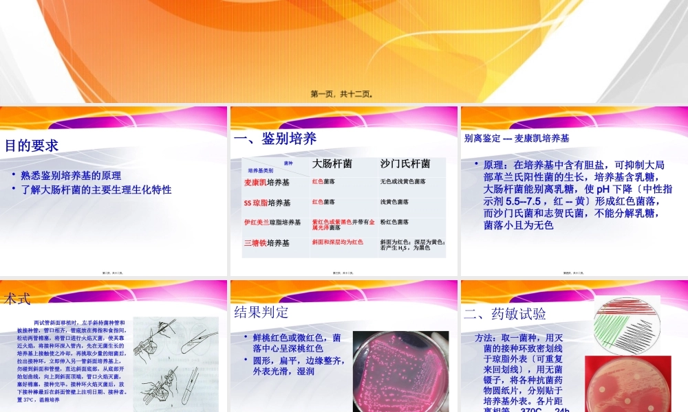 大肠杆菌的分离鉴定.pptx