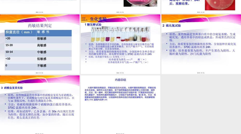 大肠杆菌的分离鉴定.pptx