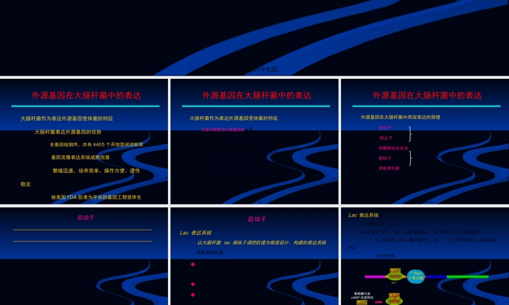 大肠杆菌表达系统.pptx