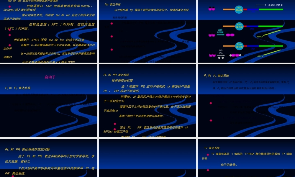 大肠杆菌表达系统.pptx