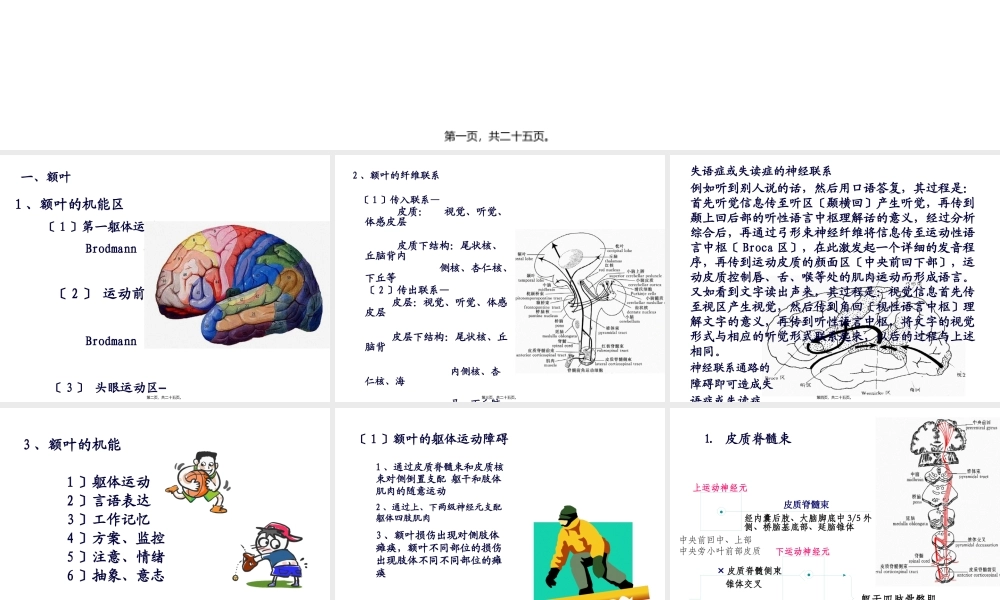 大脑额叶的功能概要.pptx