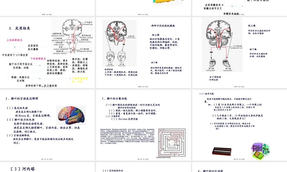 大脑额叶的功能概要.pptx