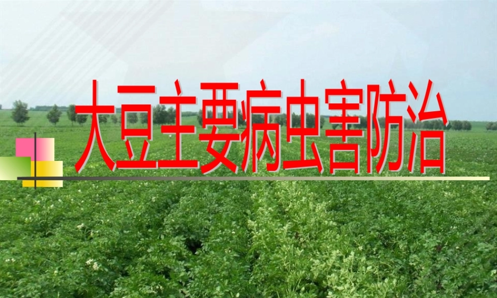大豆主要病虫害防治.pptx