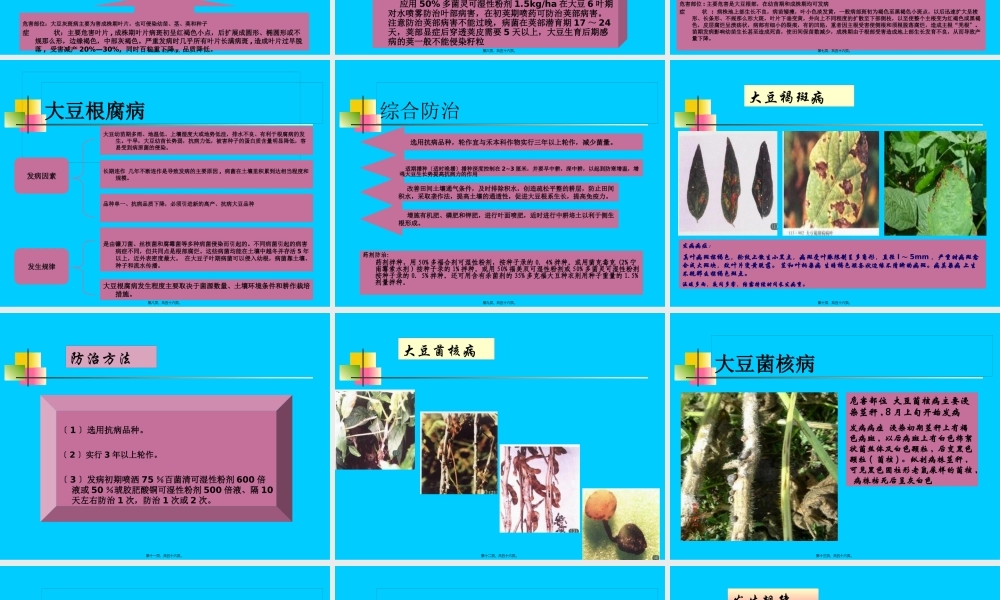 大豆主要病虫害防治.pptx