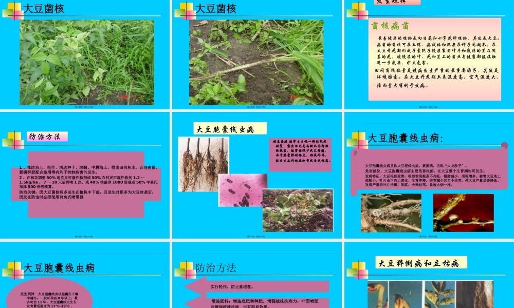 大豆主要病虫害防治.pptx