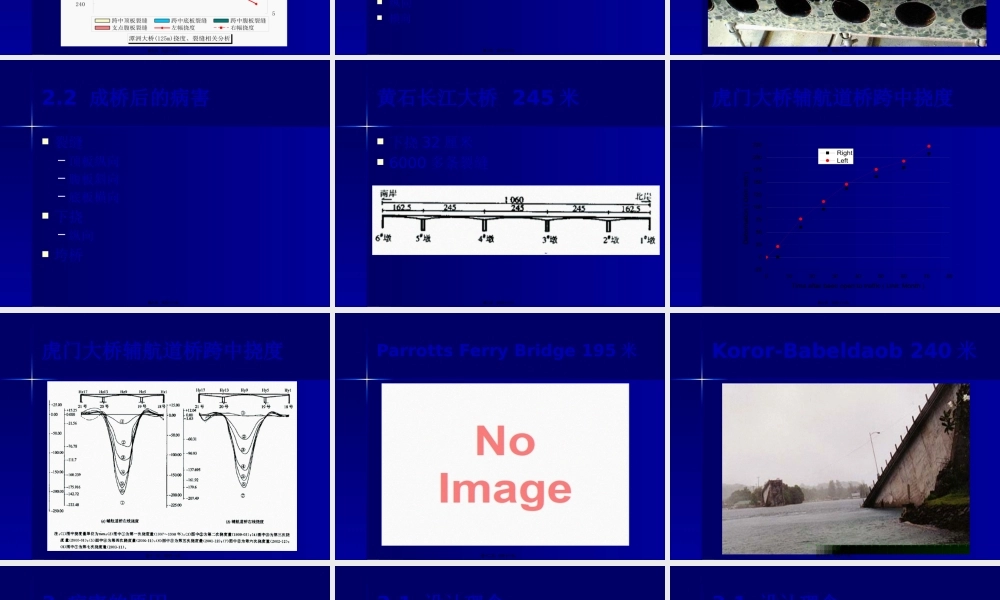 大跨度连续梁连续刚构桥常见病害及防治对策.pptx