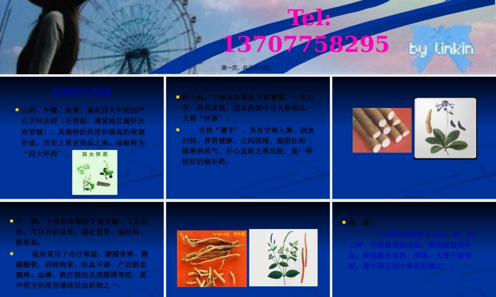 天药-第一章-绪论.pptx