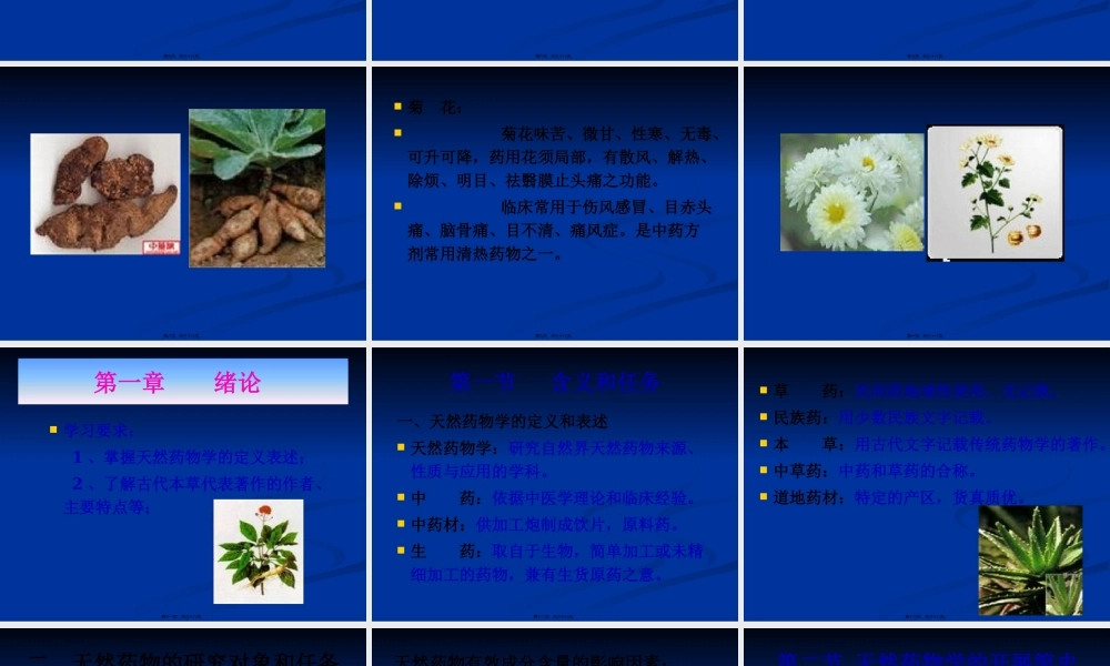 天药-第一章-绪论.pptx