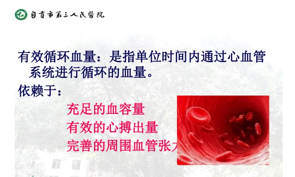 失血性休克的处理流程.pptx