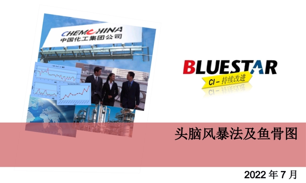 头脑风暴法及鱼骨图.pptx