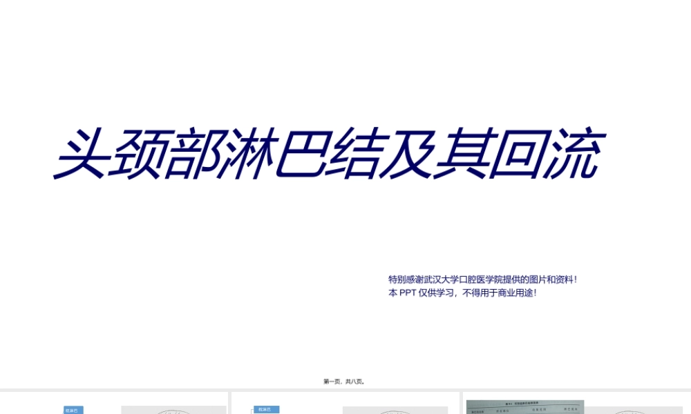 头颈部淋巴结及其回流.ppt