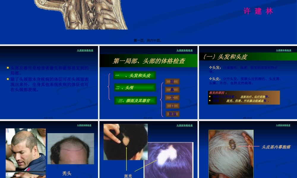 头颈部体格检查(经典).pptx