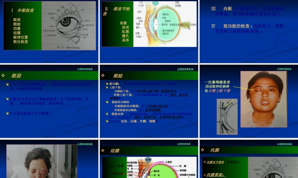 头颈部体格检查(经典).pptx