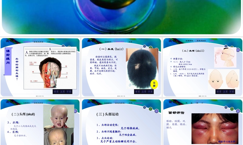 头颈部评估.pptx