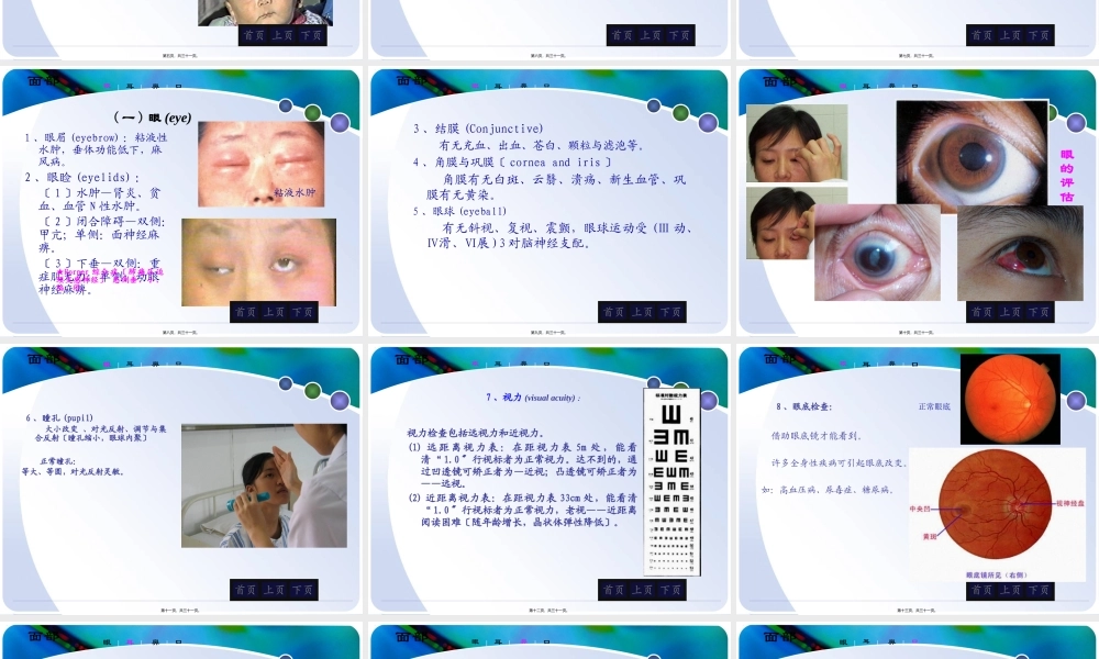 头颈部评估.pptx