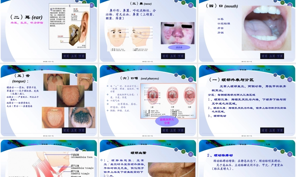 头颈部评估.pptx