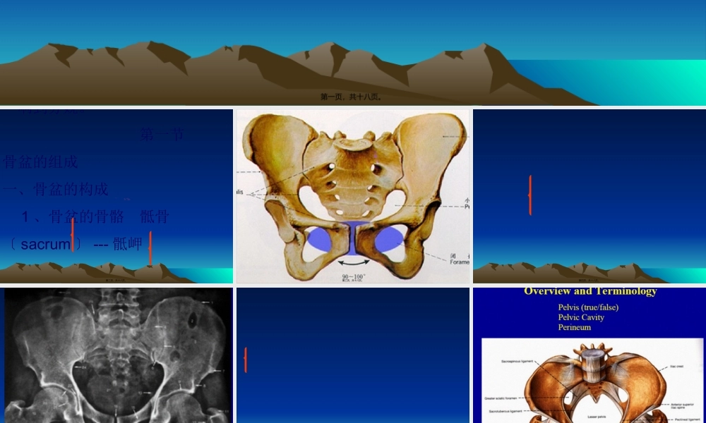女性骨盆是产道的重要组成部分-.pptx