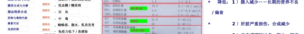 如何看肝病化验单.pptx