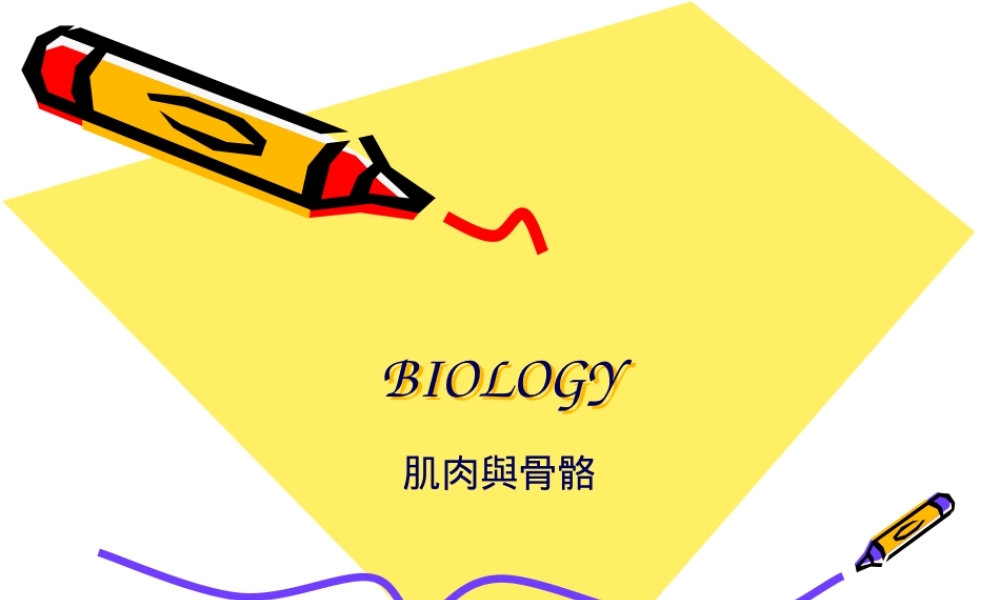 如骨质疏松症关节炎.pptx