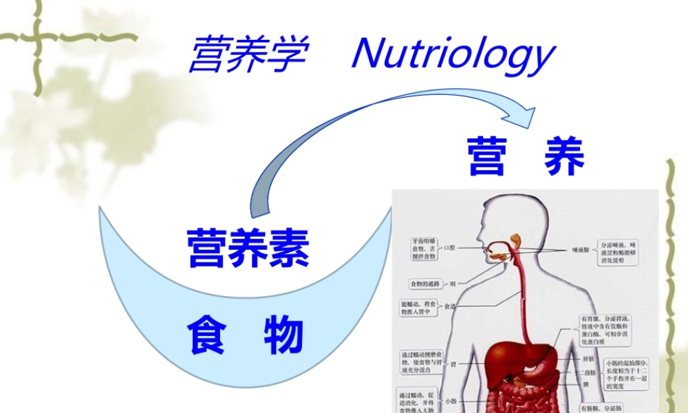 妇幼营养学朱文丽1营养学基础.ppt