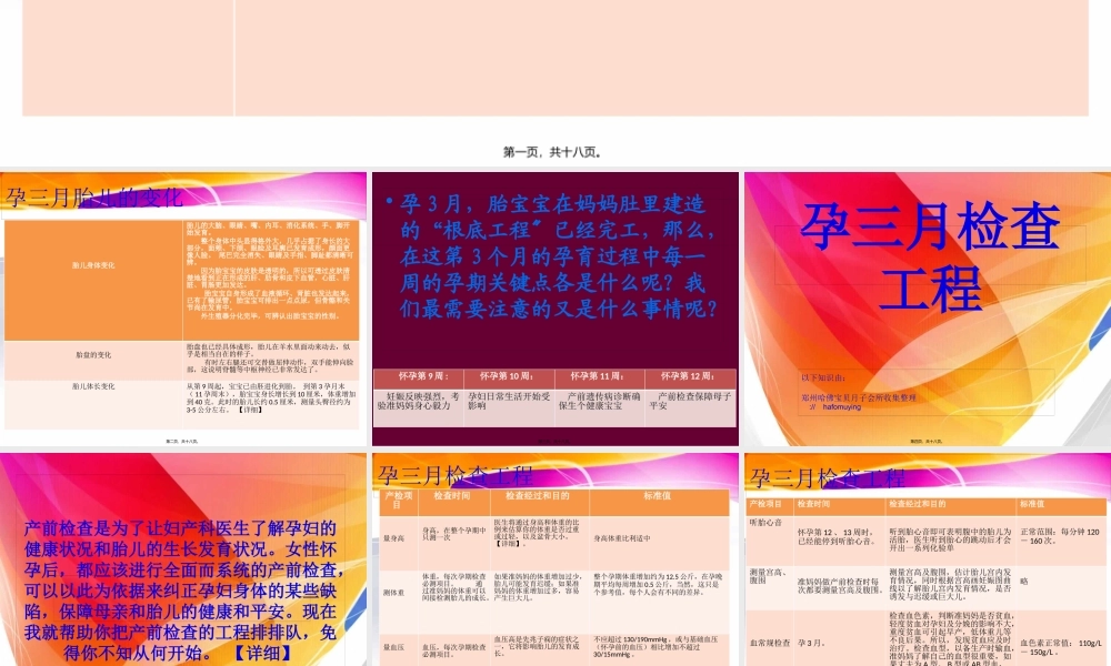 孕三月身体变化.pptx