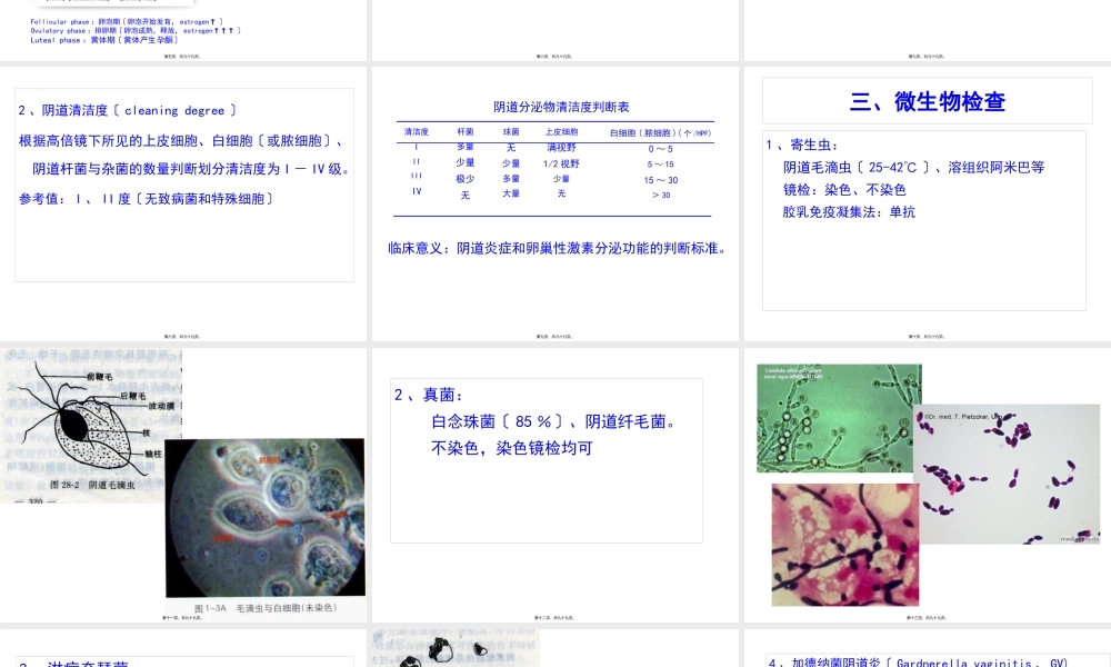 学时-生殖系统体液血糖血脂.pptx