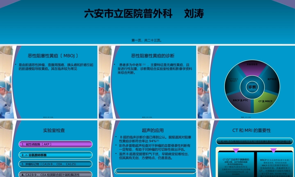 宝藏-六安世立医院.pptx