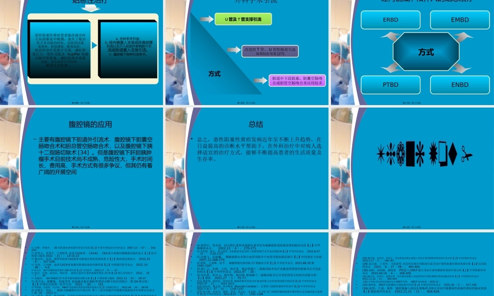 宝藏-六安世立医院.pptx