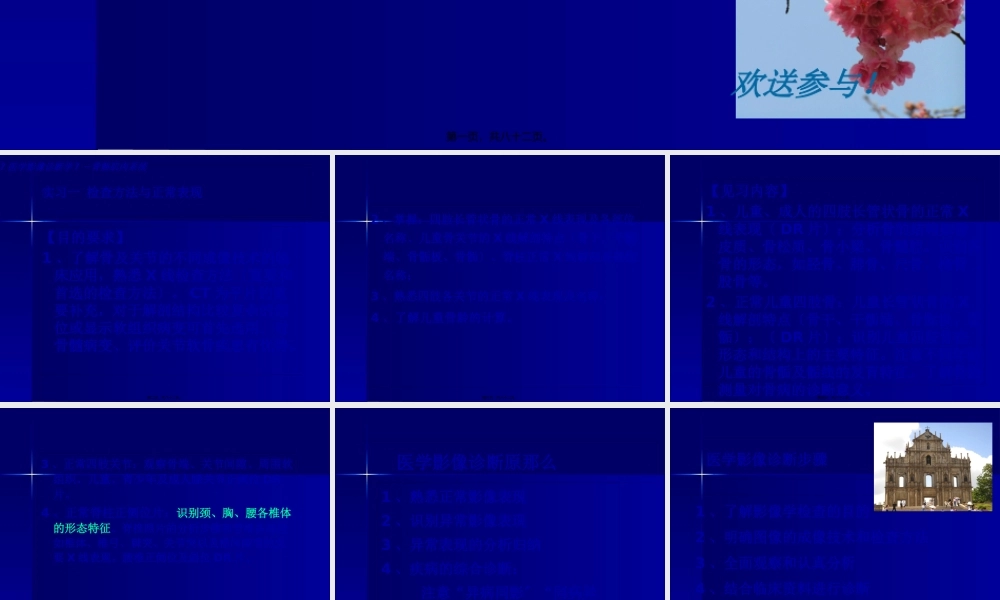 实习一--骨与关节正常表现.pptx