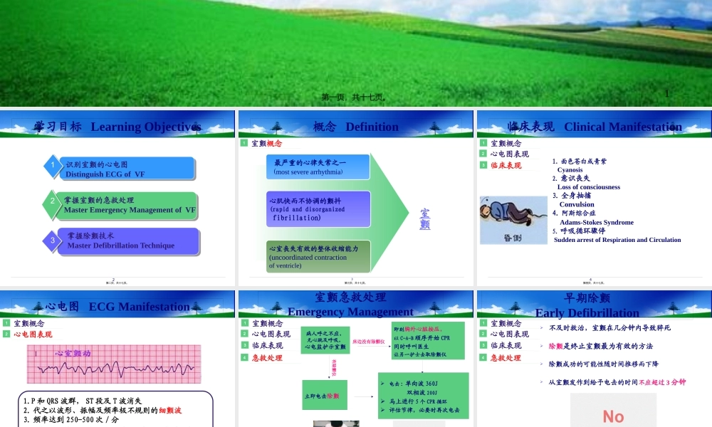 室颤与急救3.pptx