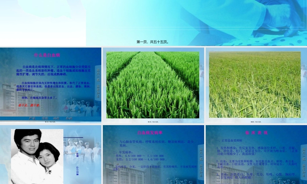 宣教白血病基础知识讲座.pptx